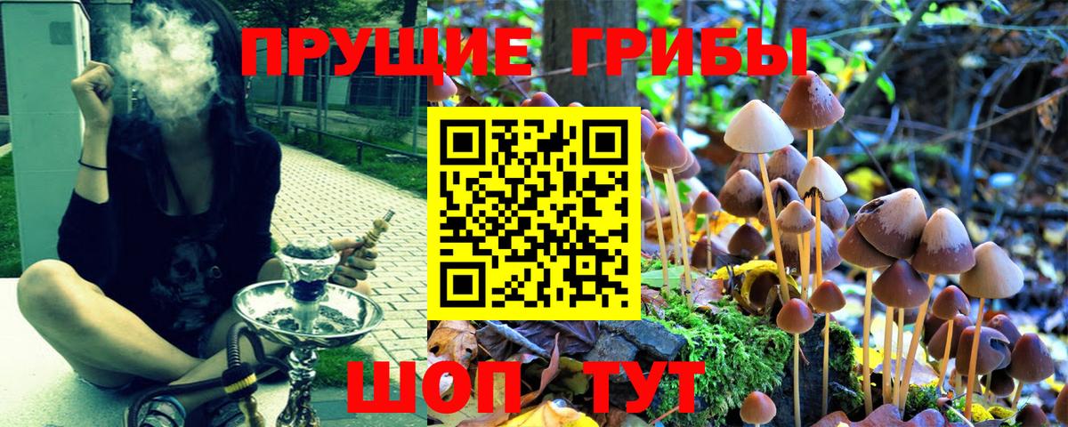 Галлюциногенные грибы прущие грибы Бугуруслан
